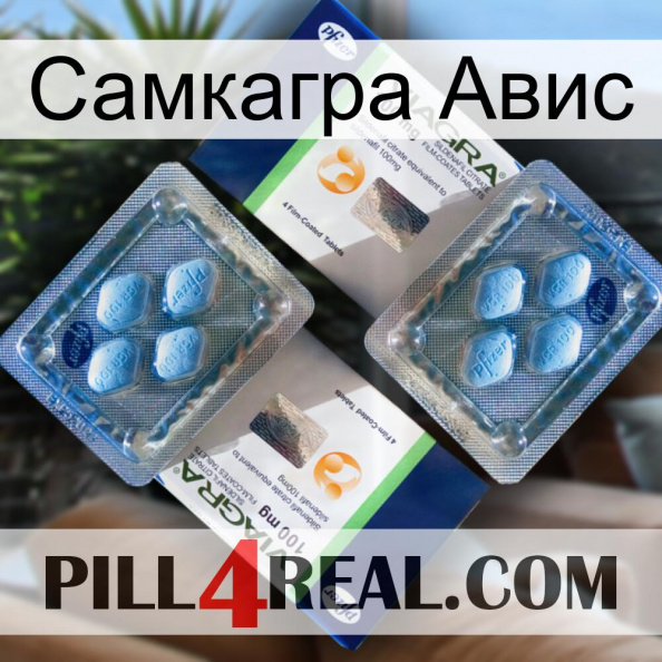 Самкагра Авис viagra5.jpg